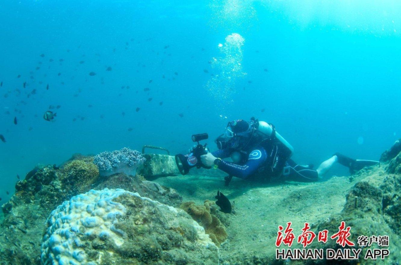 微软里程碑时刻！盘中市值达3万亿美元，成为第二个“3万亿俱乐部”成员
