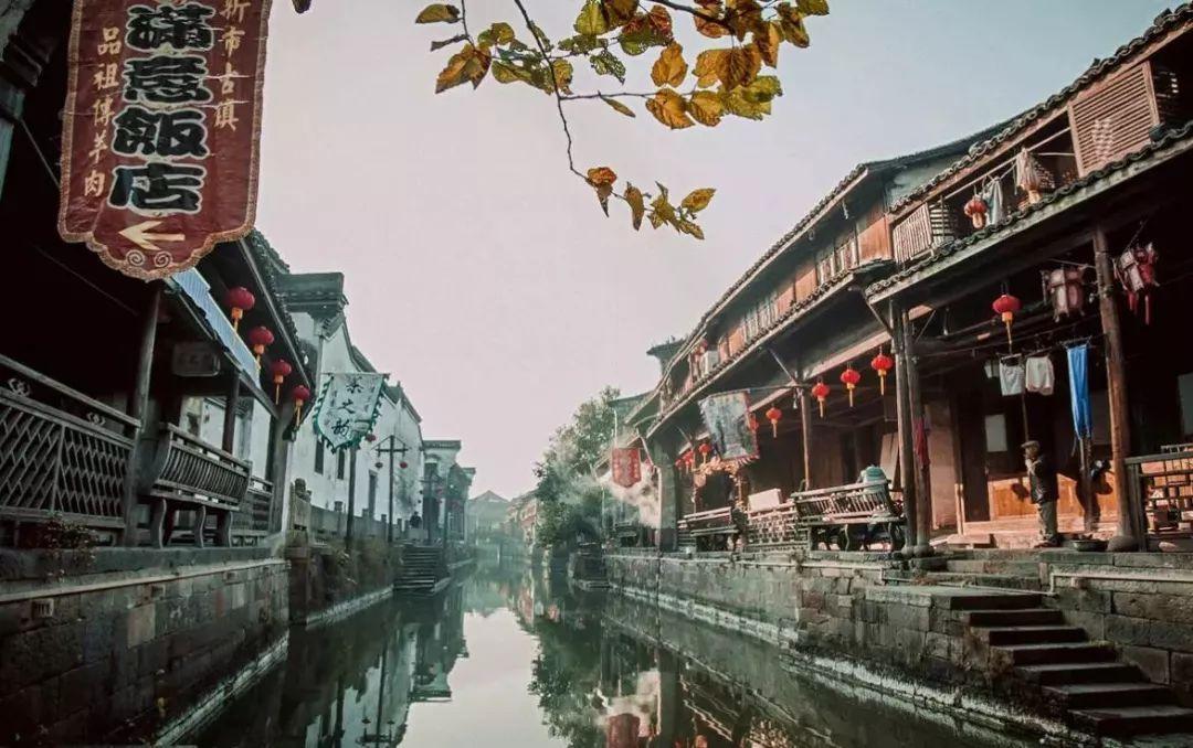 逃离水虎鱼湖